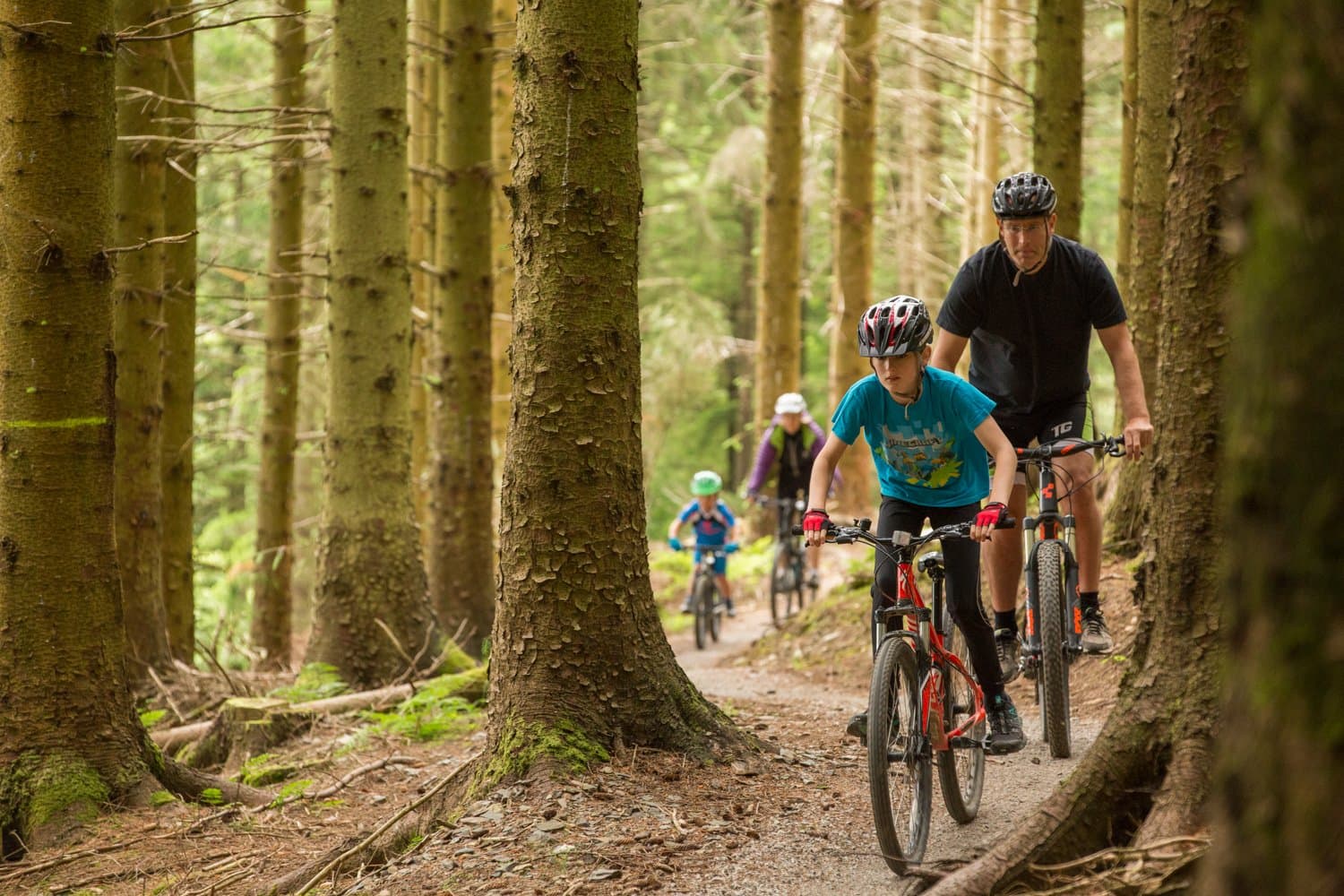 Cyclewise Whinlatter Bike Hire & Shop - Photo