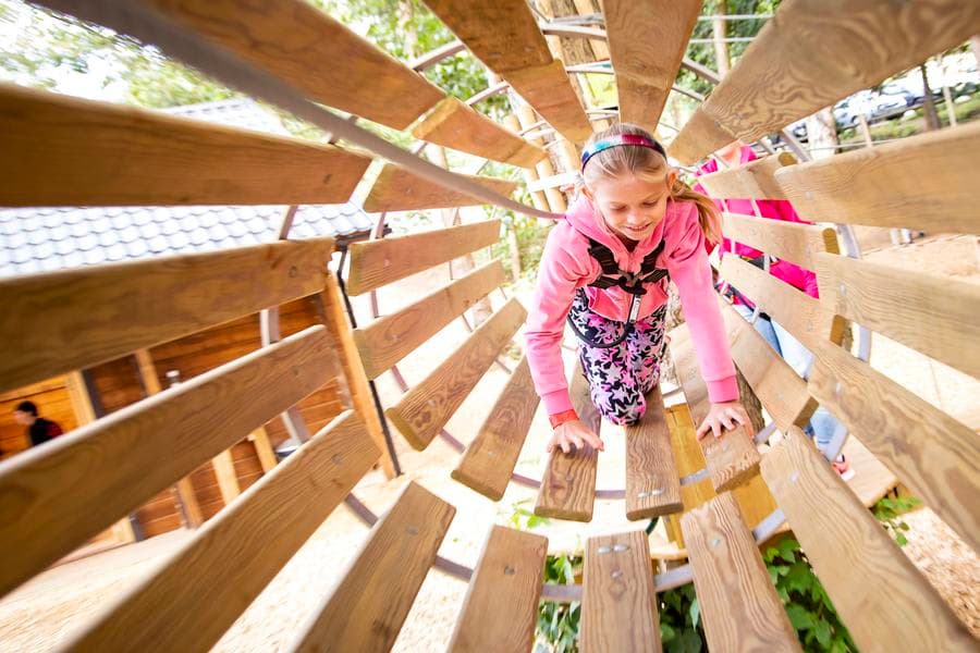 Go Ape Dalkeith - Photo