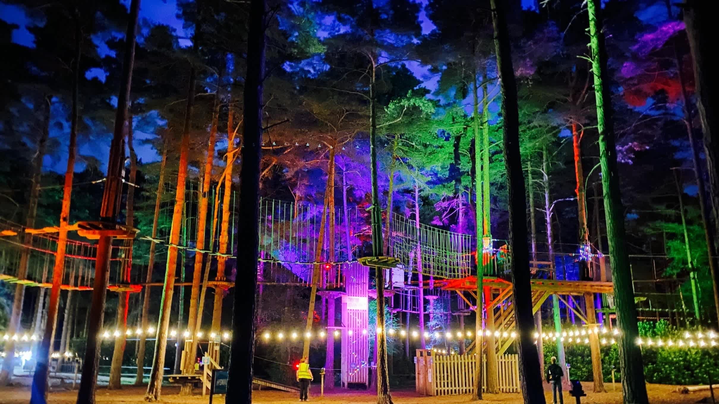 Go Ape Wyre - Photo