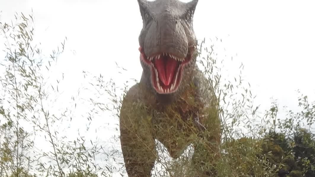 Dinosaur World - Photo