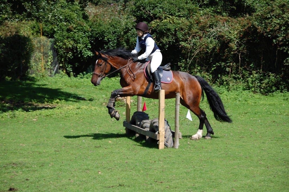 Arundel Riding Centre