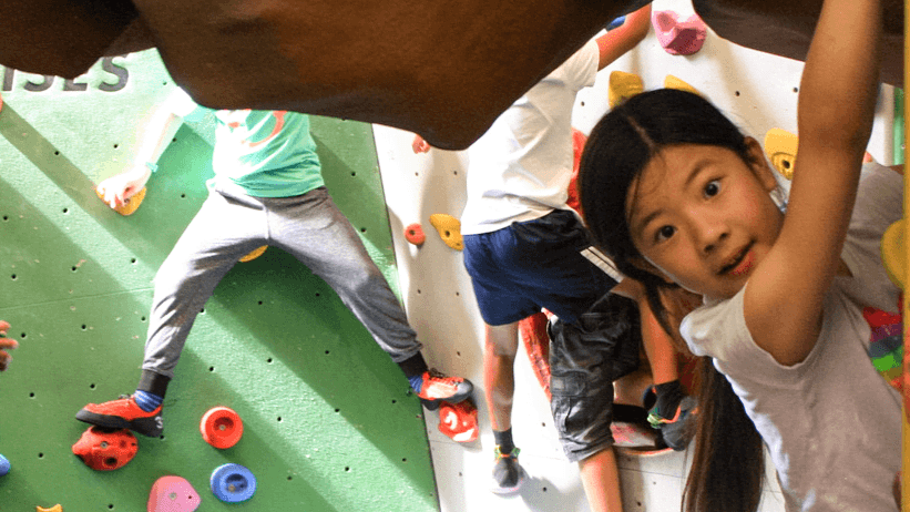 Yellow Spider Climbing - Photo 1