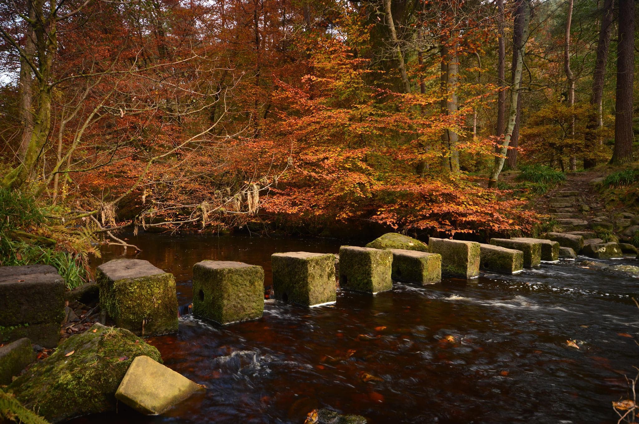 Hardcastle Craggs