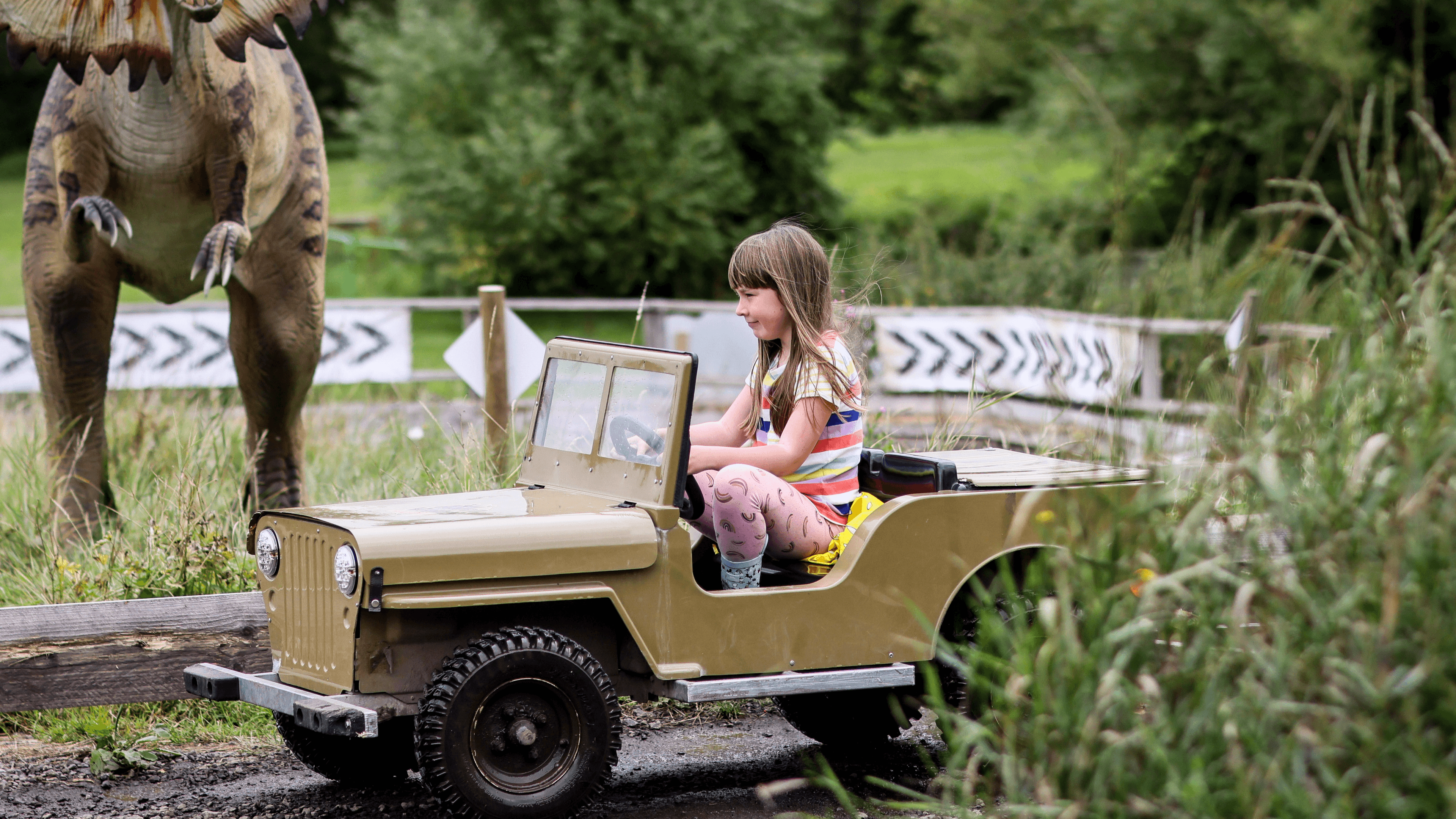 Avon Valley Adventure Park