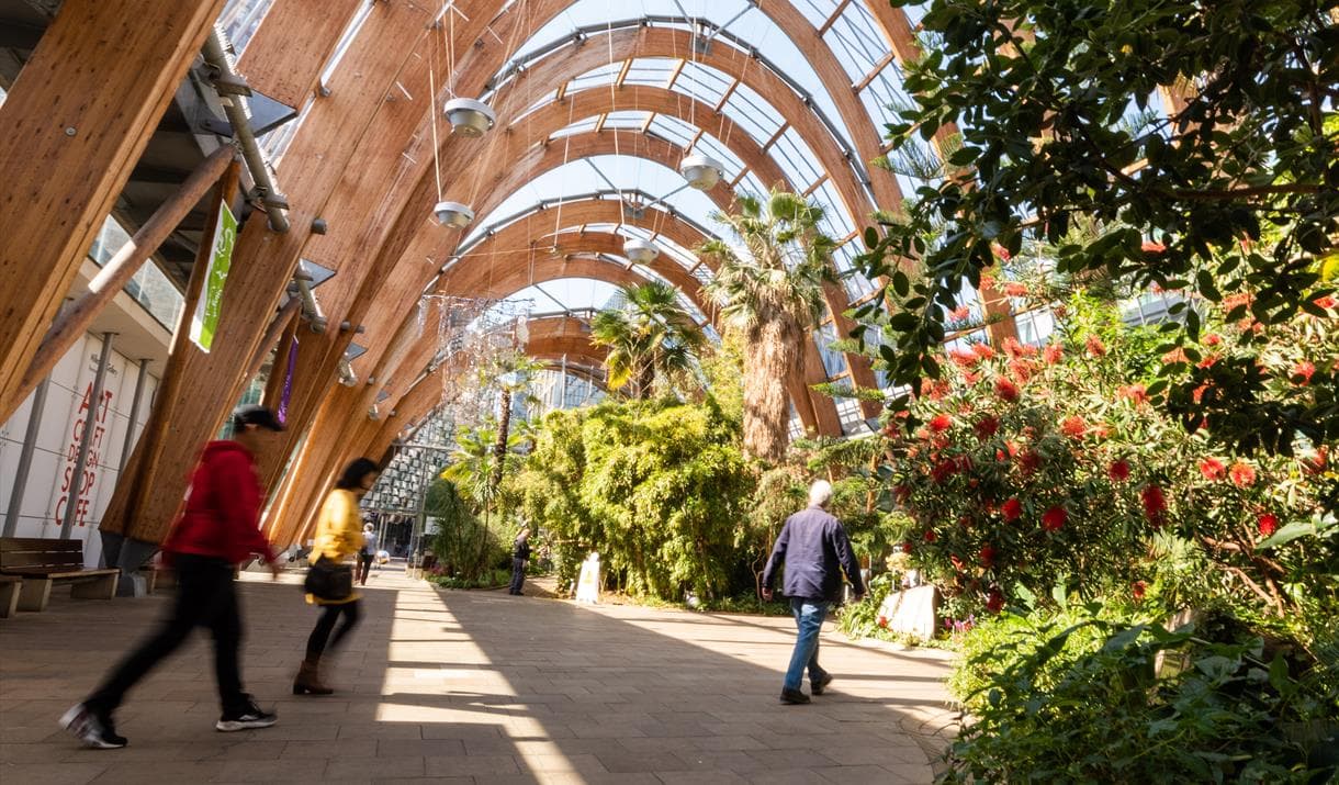 The Winter Garden