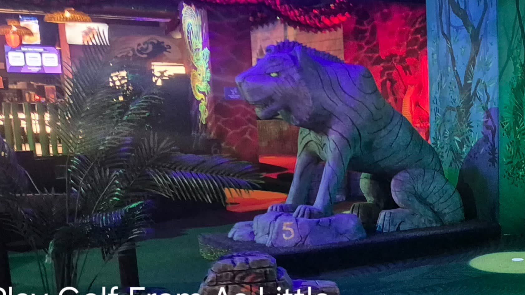 Putt Putt Social