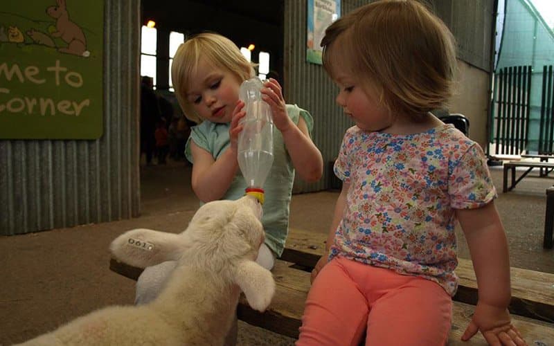 Streamvale Open Farm - Photo