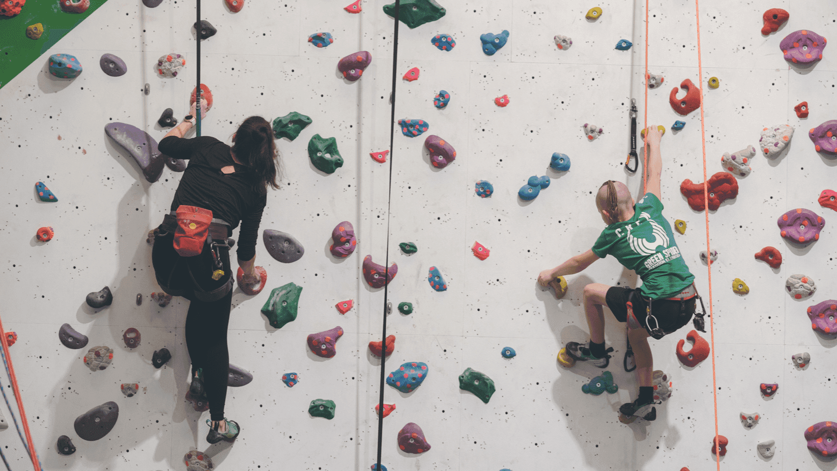 Green Spider Climbing - Photo