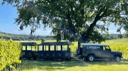 Denbies Wine Estate - Photo