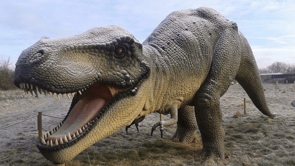 All Things Wild Nature Centre