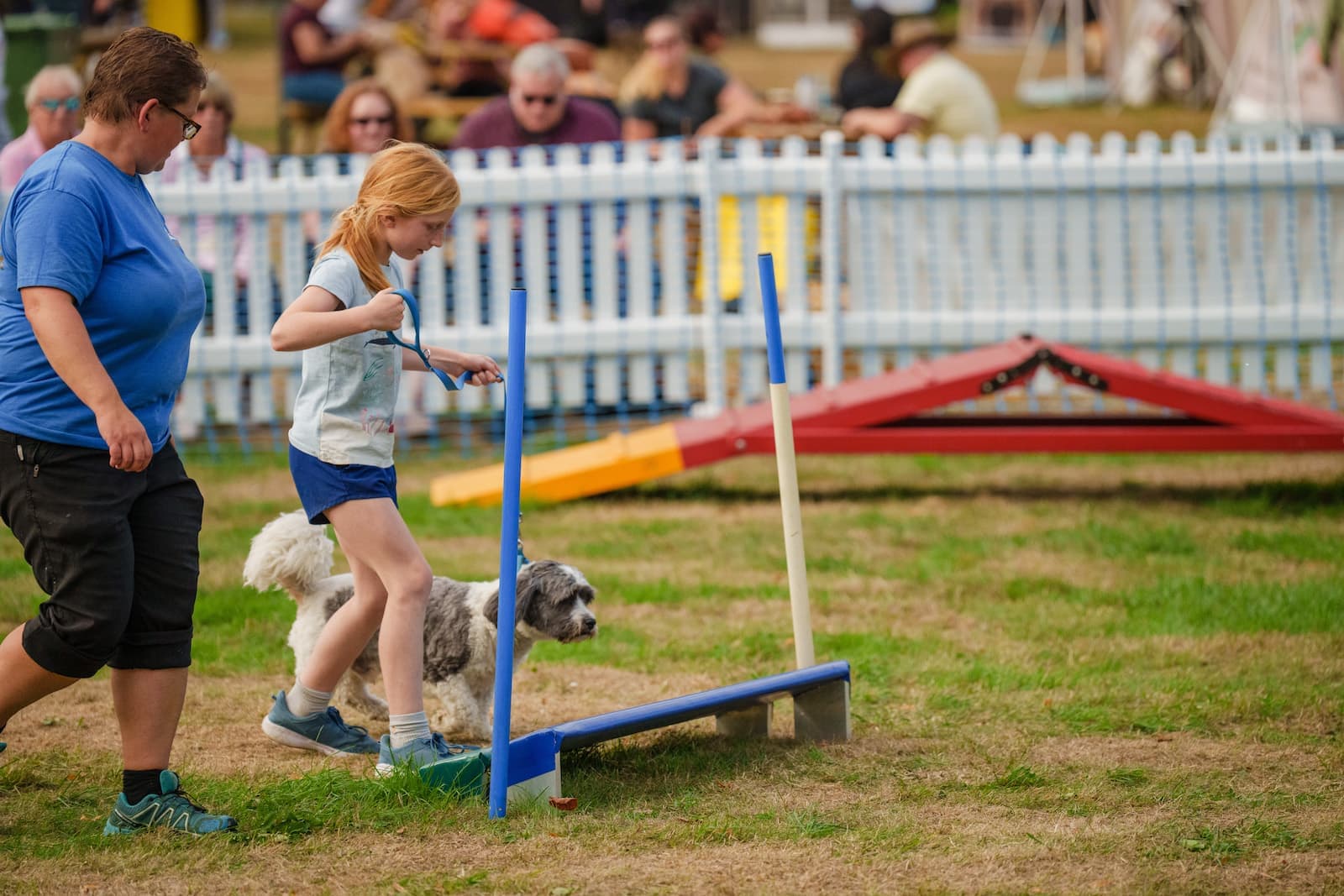 DogFest at Ragley Hall - Photo 1