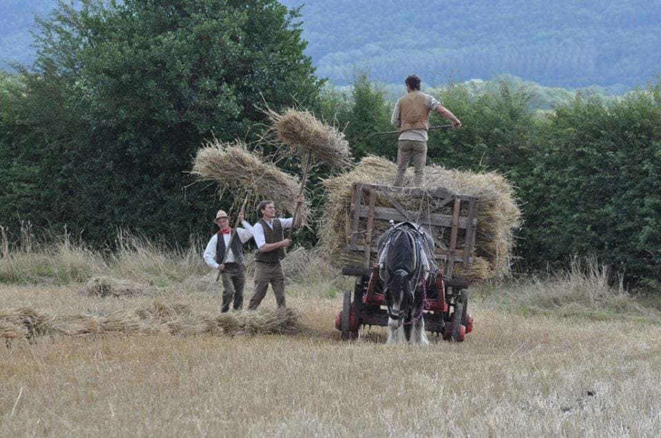 Acton Scott Working Farm - Photo
