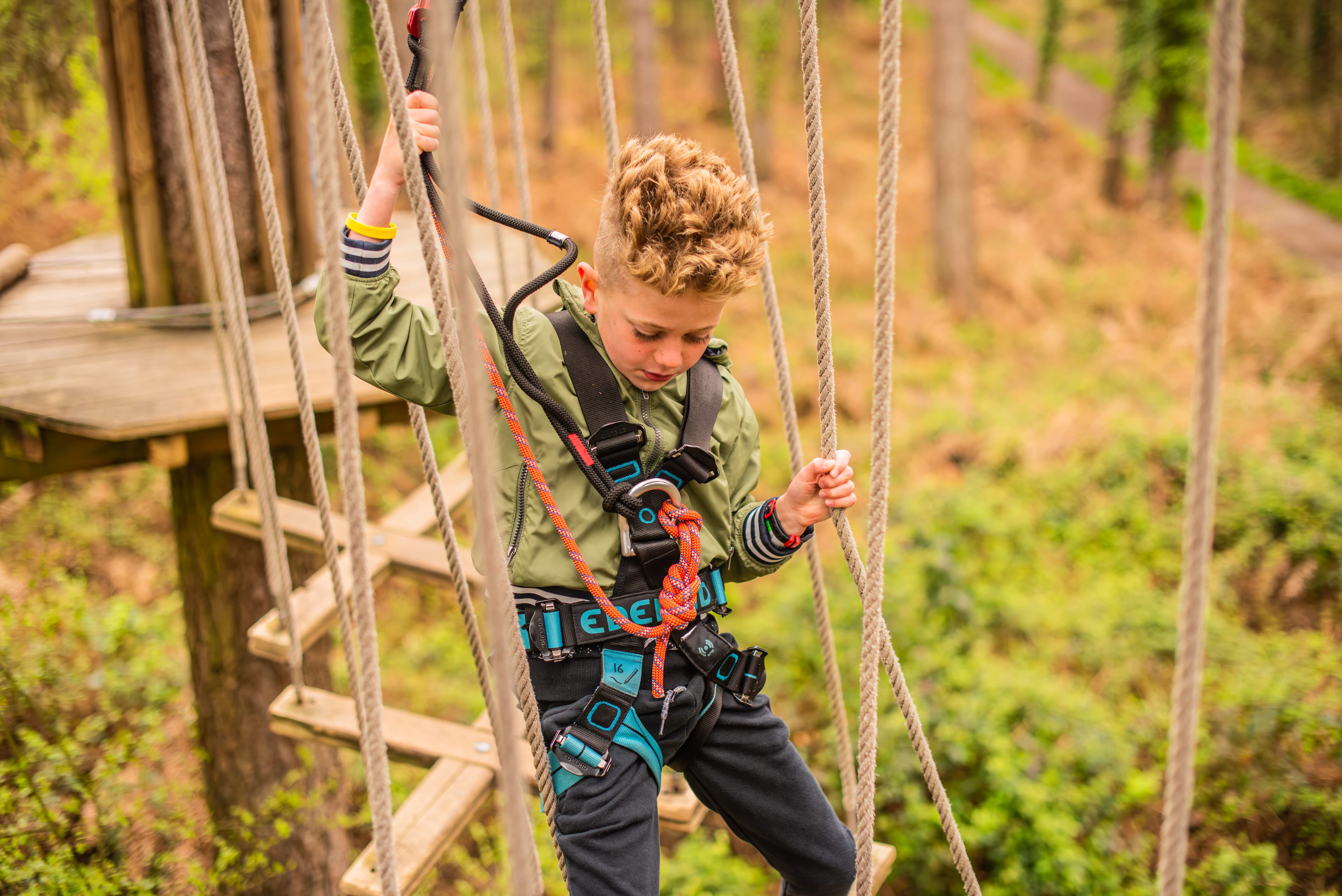 Go Ape Blackburn