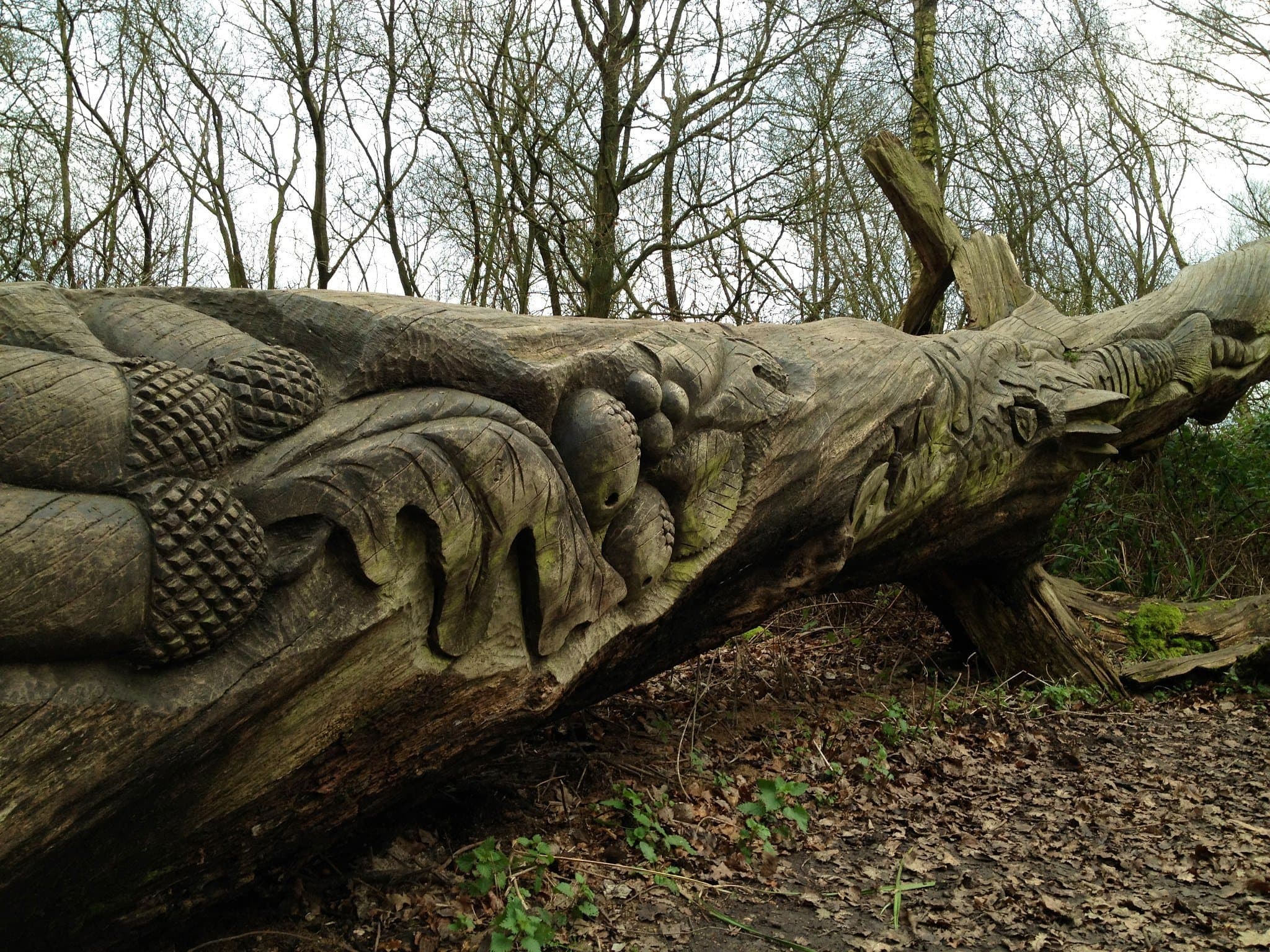 Aldenham Country Park - Photo