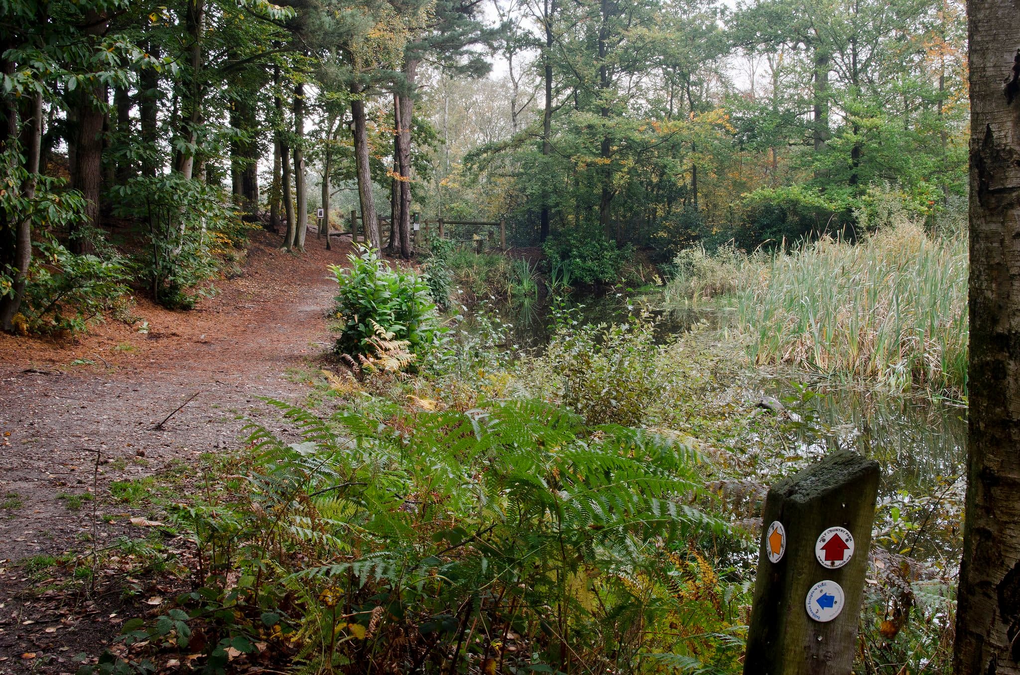 Holt Country Park - Photo 1