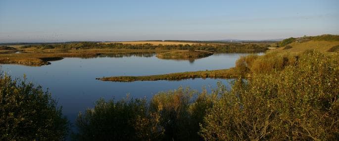 Hauxley Nature Reserve
