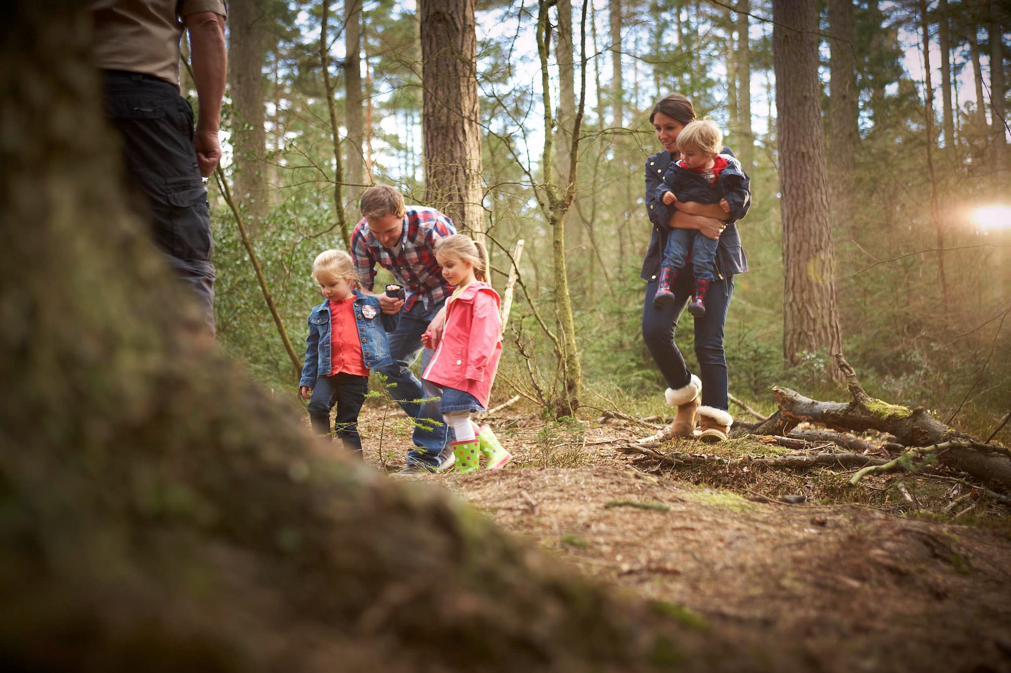 Blackwood Forest - Photo
