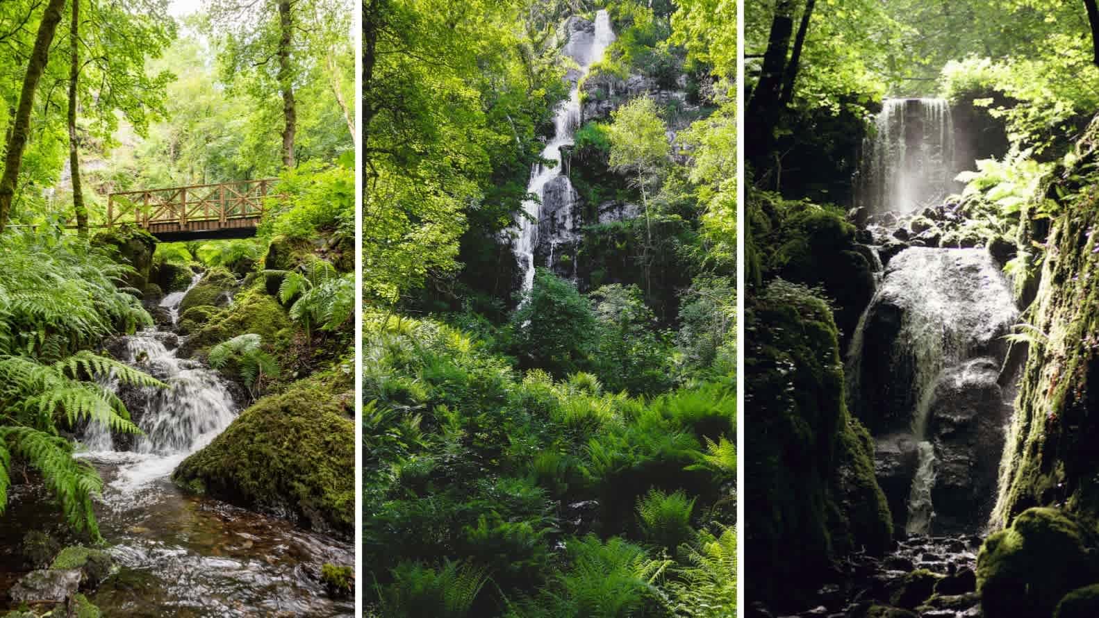 Canonteign Falls - Photo