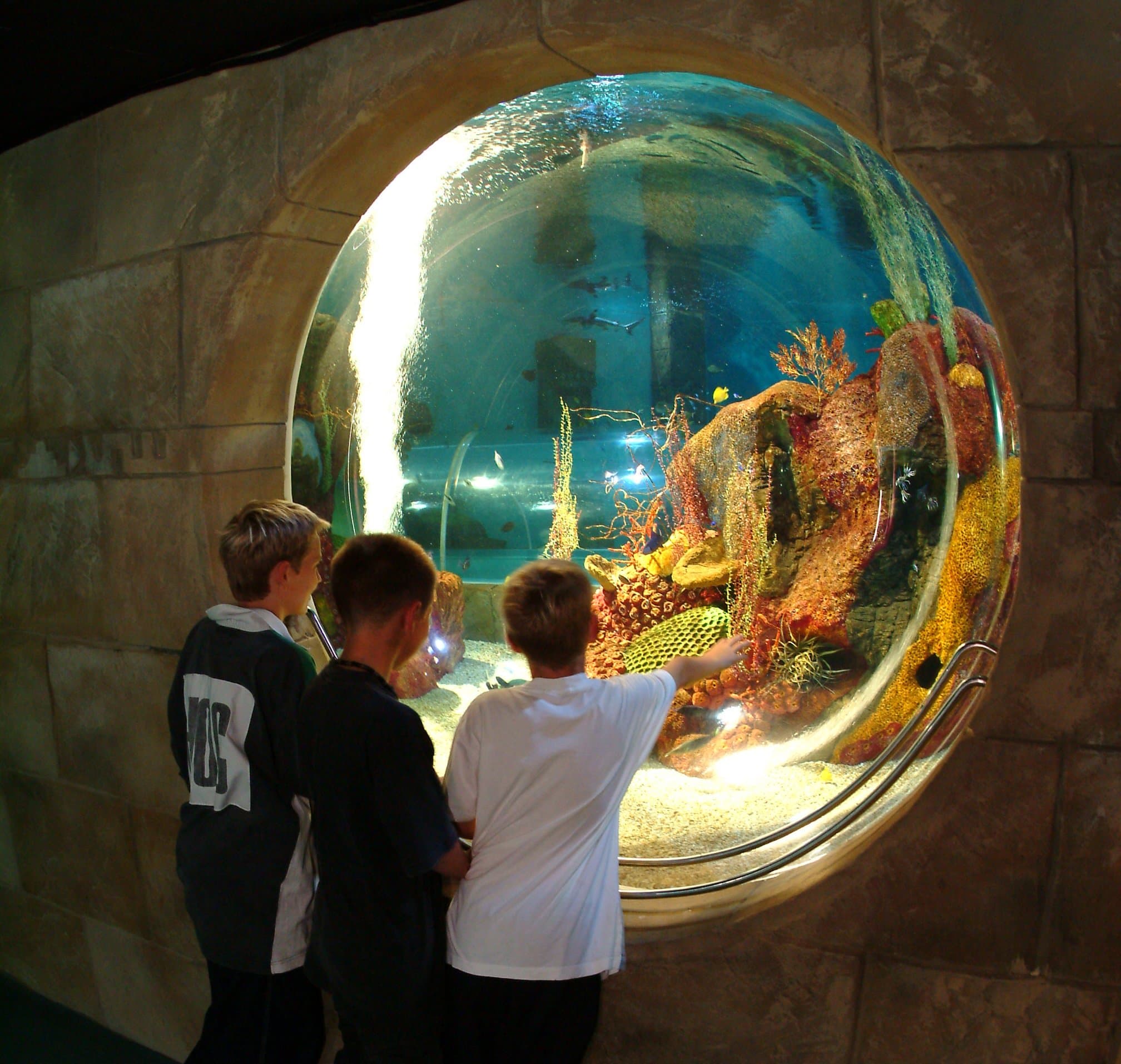 Blue Reef Aquarium Portsmouth