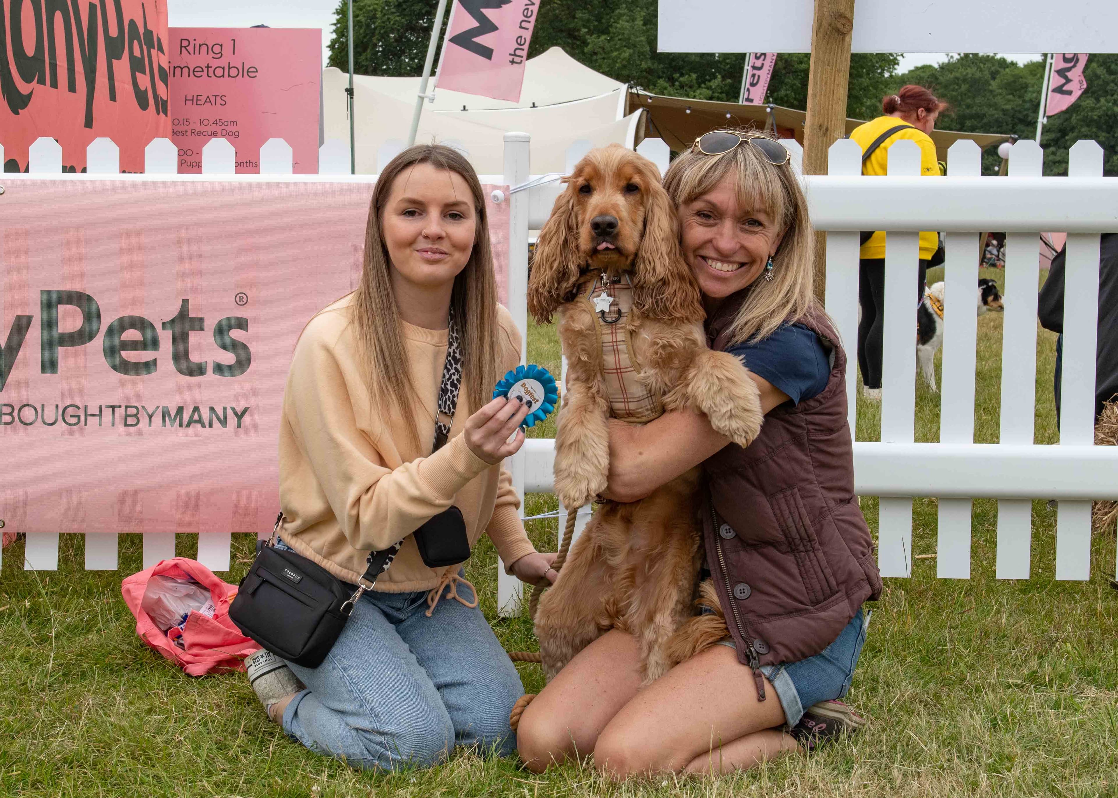 DogFest at Loseley