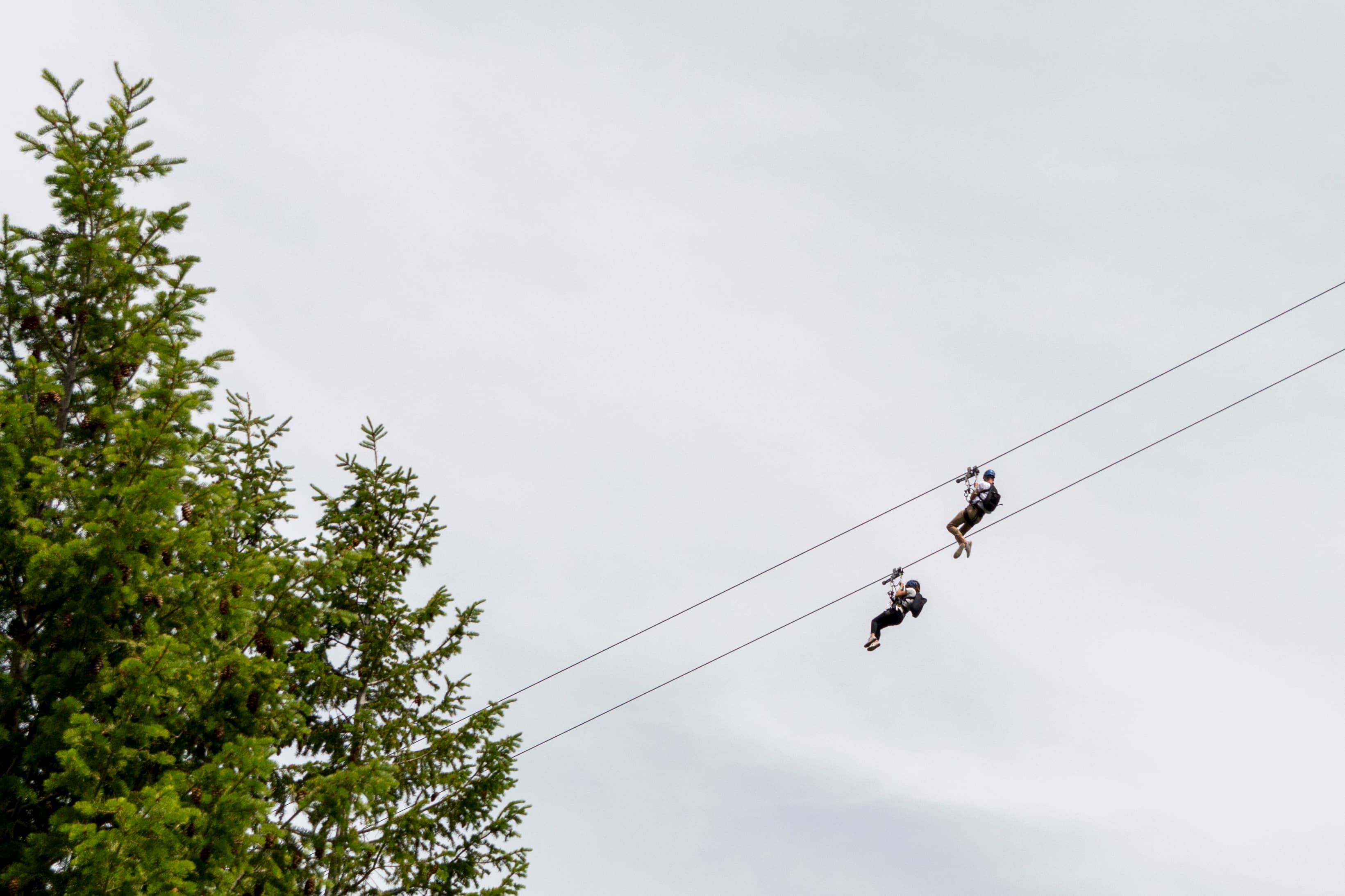 Gripped London - Photo