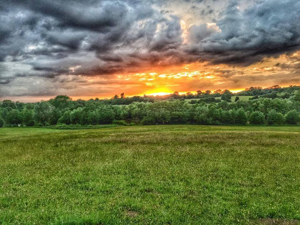 Weald Country Park