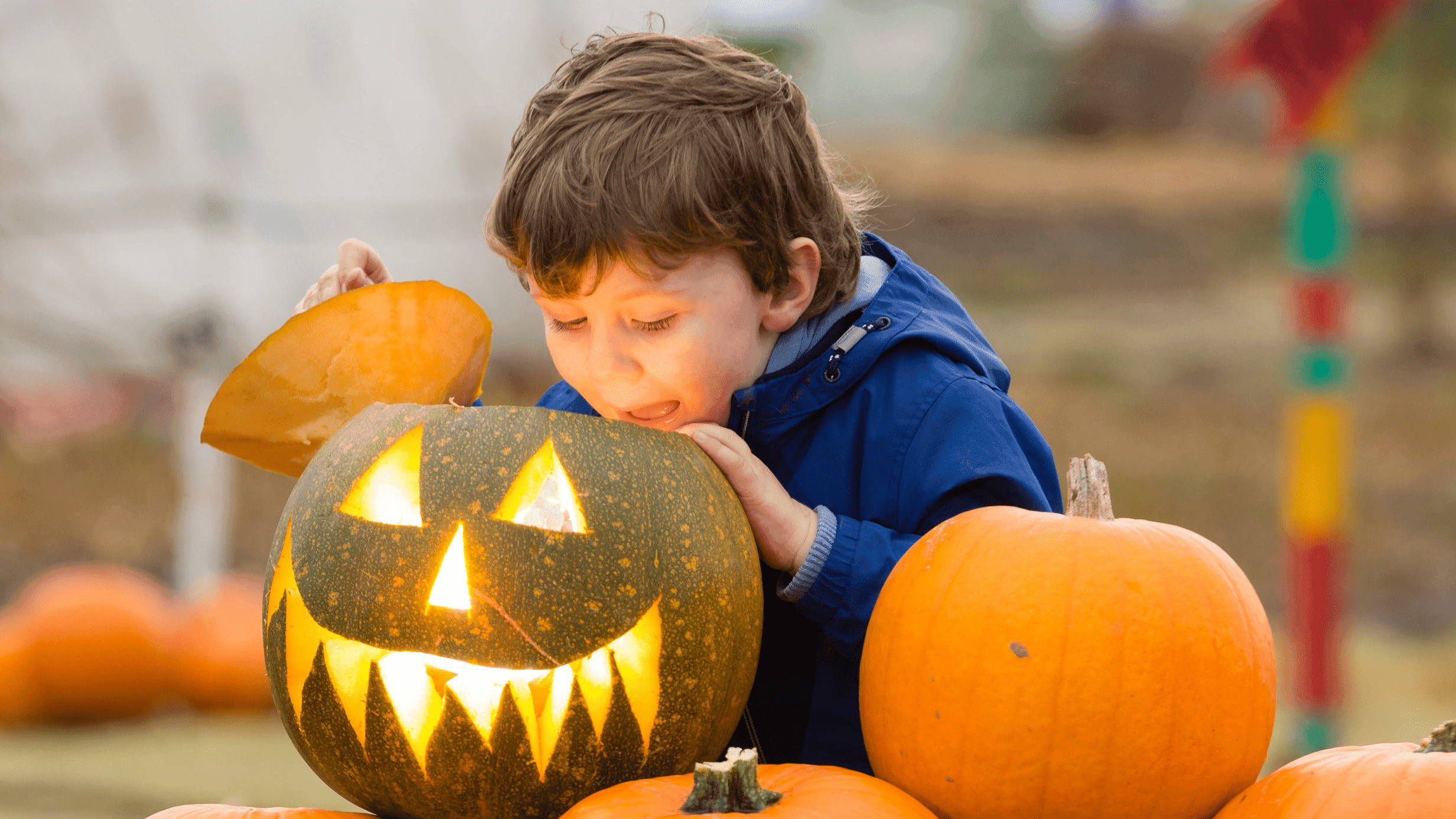 Arnprior Farm Pumpkin Patch - Photo 1