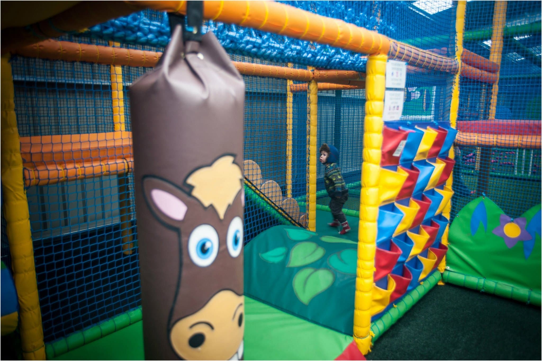 Auchingarrich Wildlife Centre - Photo
