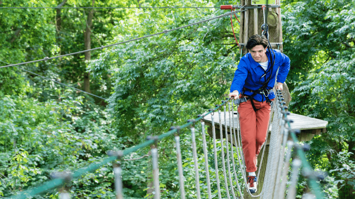 Go Ape Cockfosters - Photo