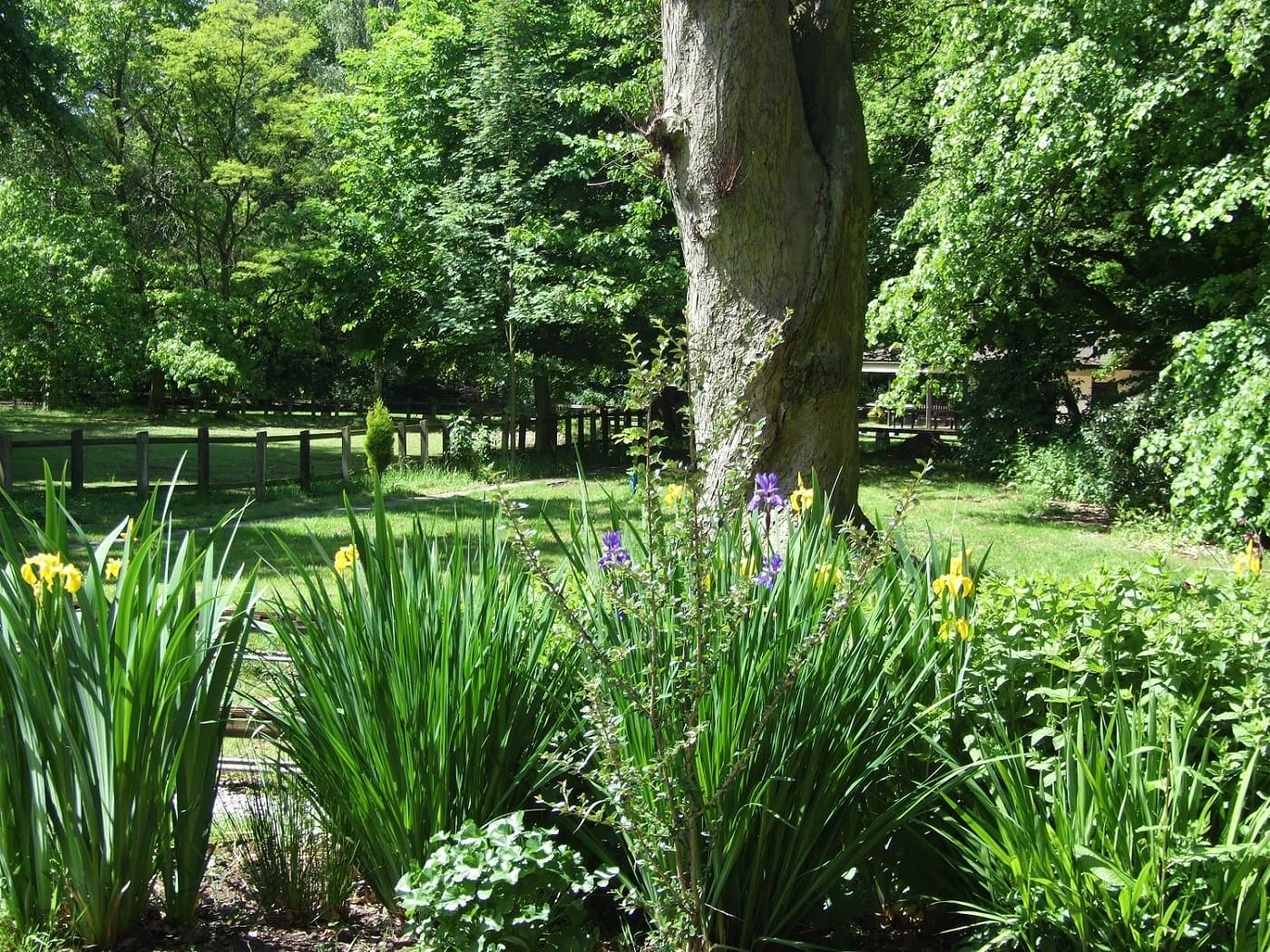 Worden Park - Photo