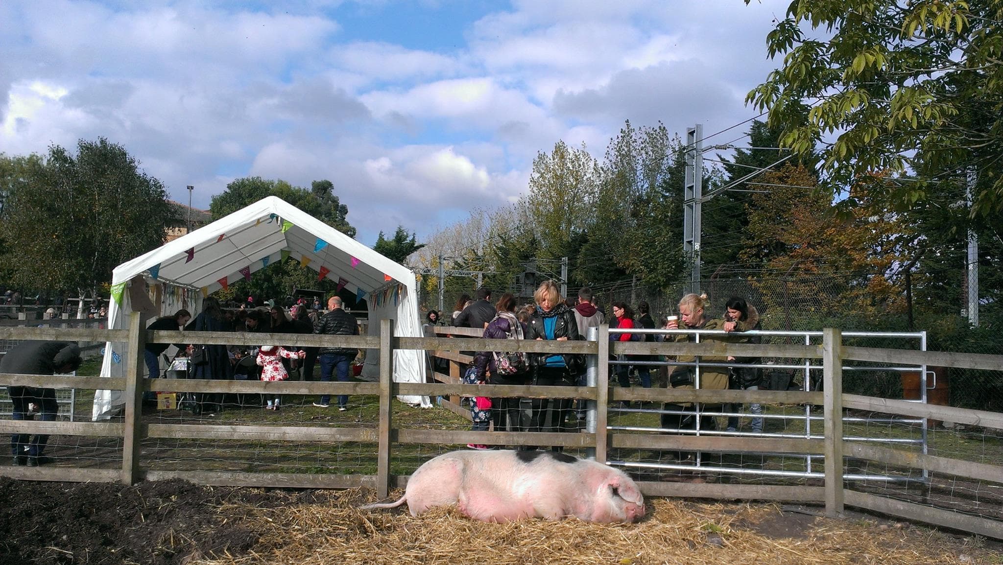 Kentish Town City Farm