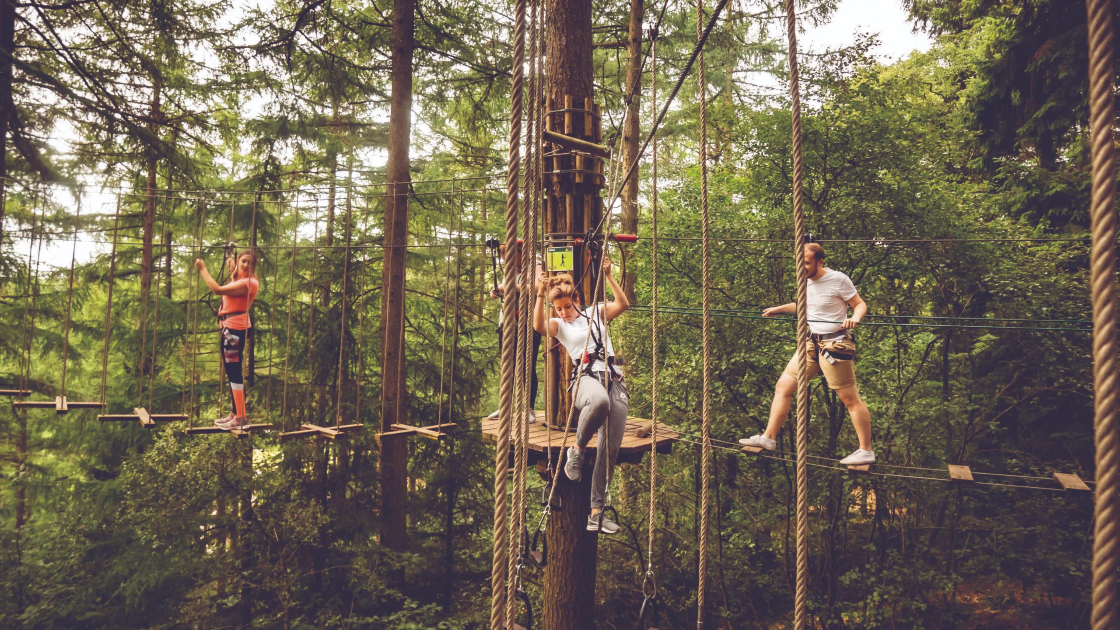 Go Ape Aberfoyle - Photo