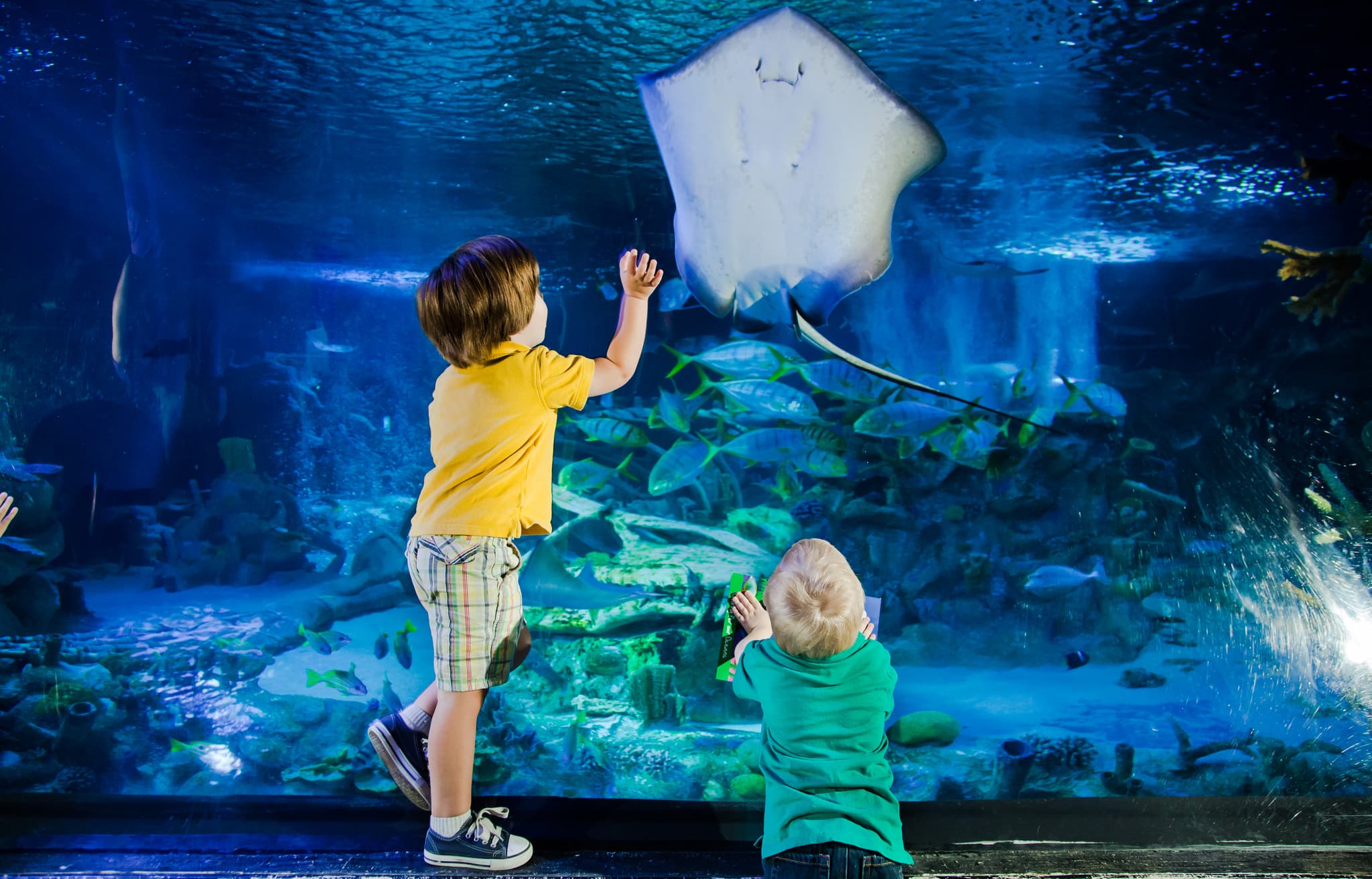 SEA LIFE Great Yarmouth