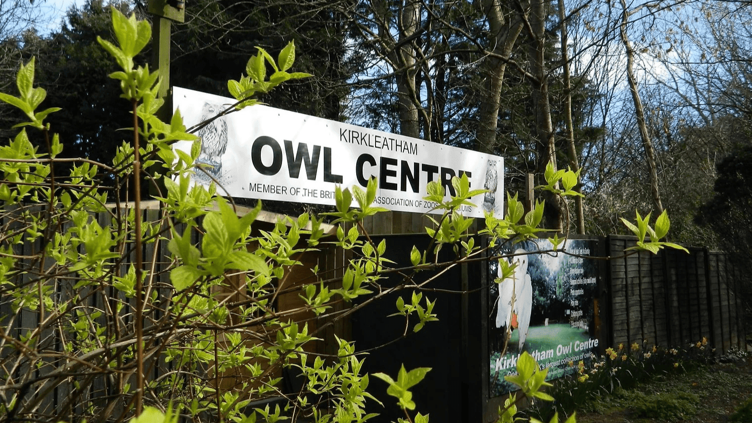 Kirkleatham Owl Centre - Photo 1