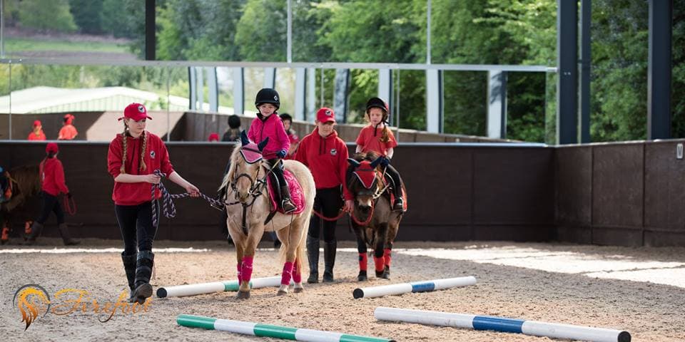 Cannock Chase Horse Trekking - Photo