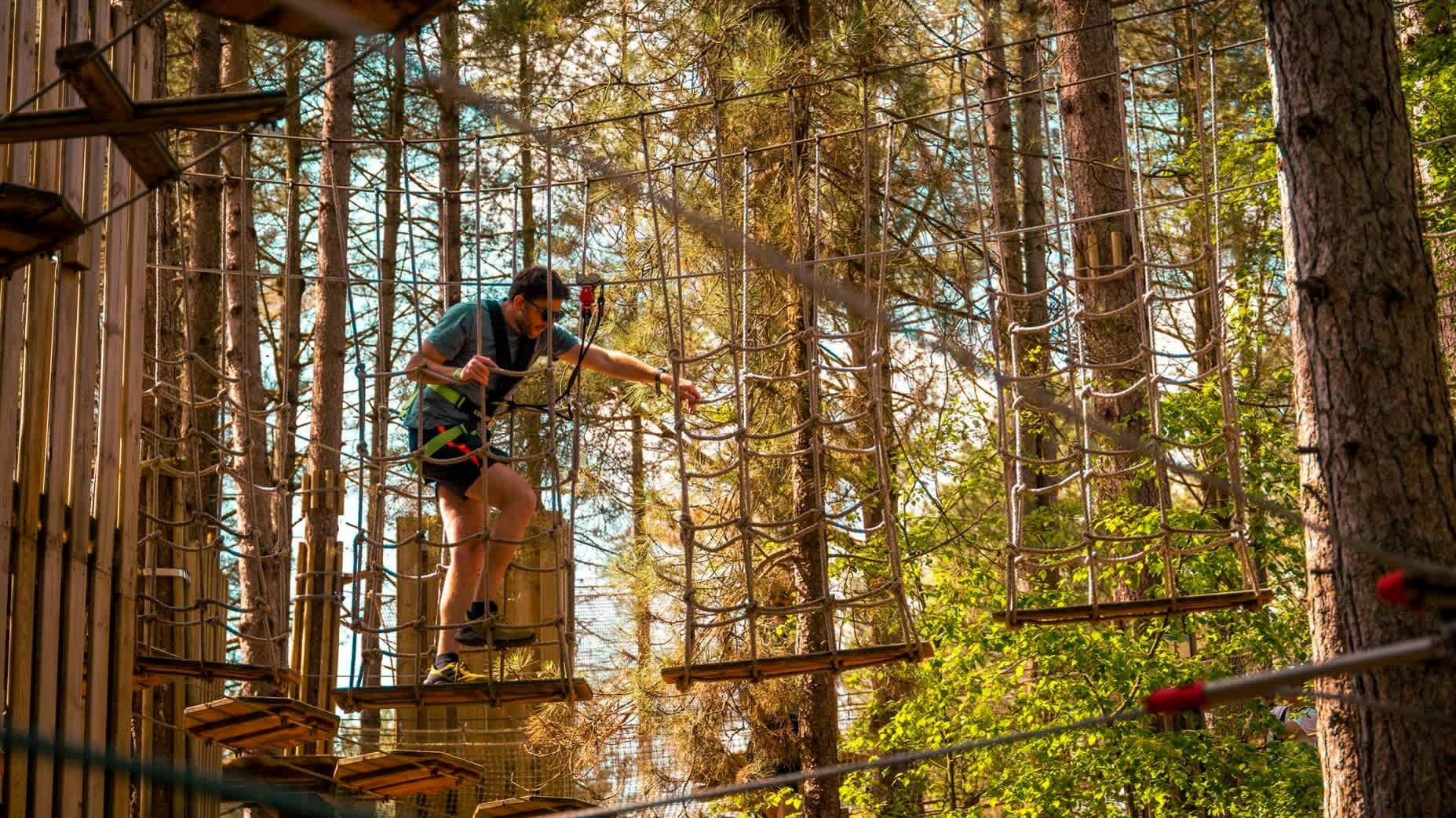 Go Ape Coventry - Photo