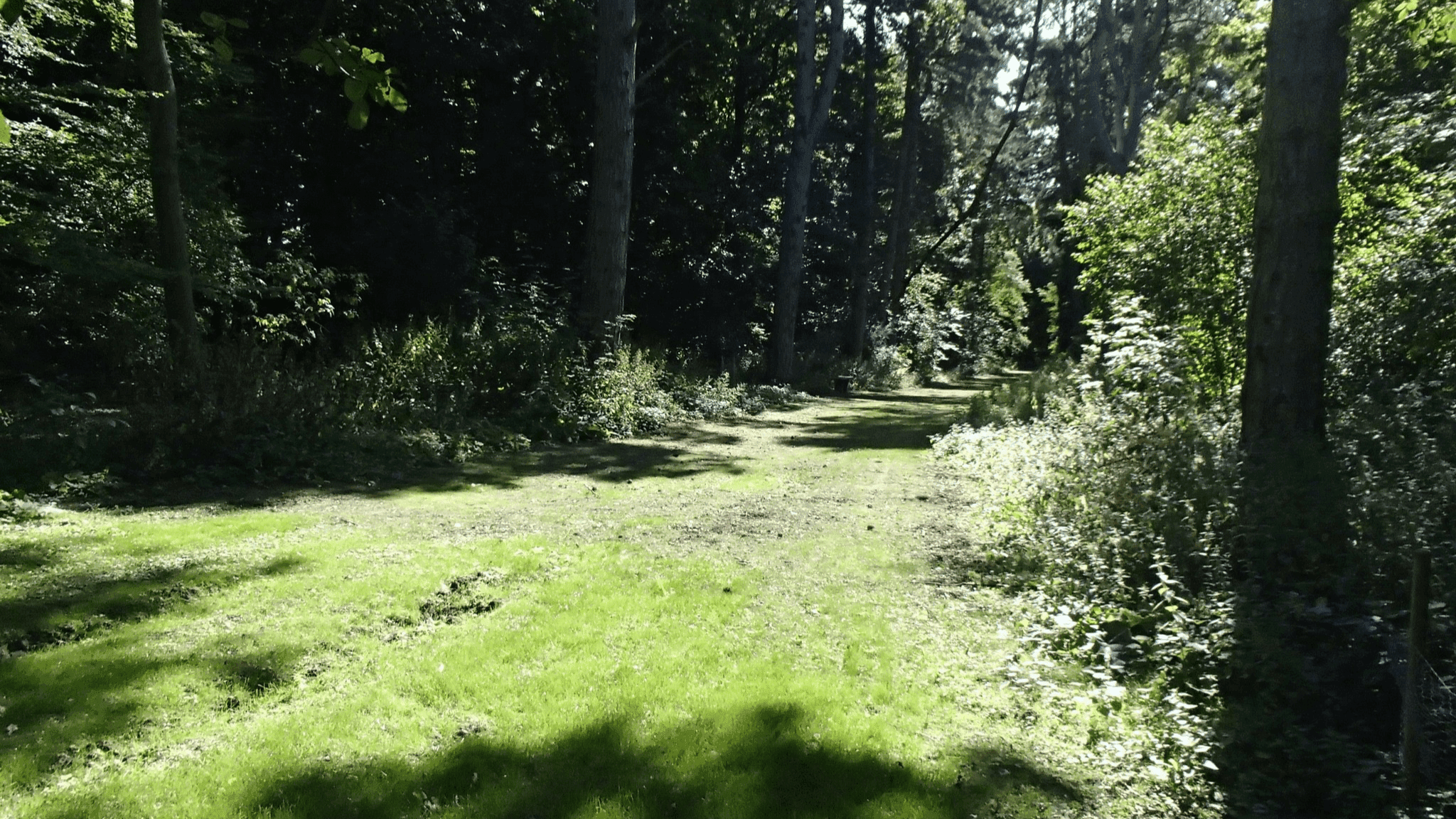 Hinchingbrooke Country Park - Photo