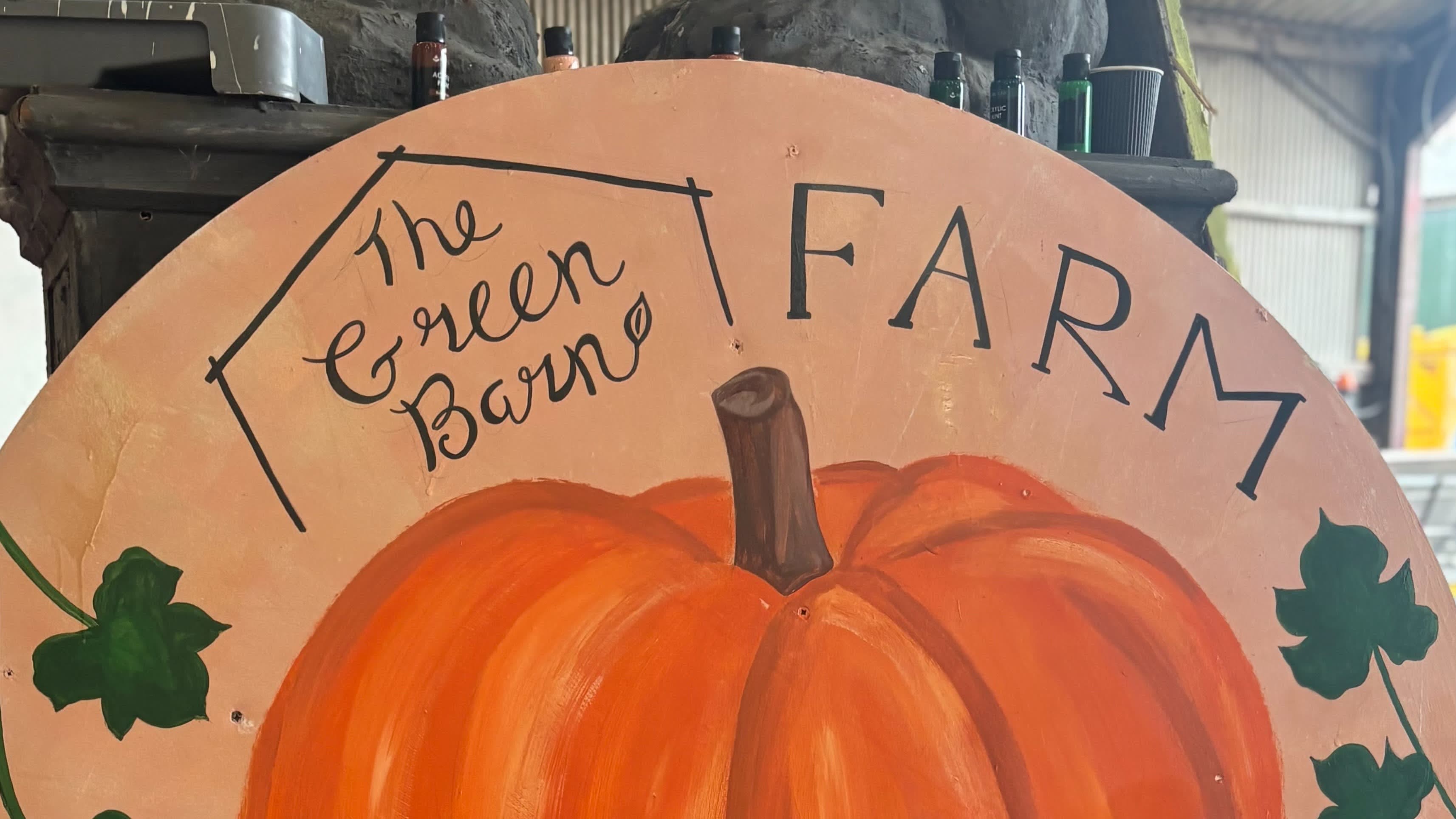 THE PUMPKIN FIELD- Green Barn Farm - Photo