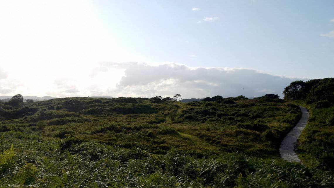 Murlough National Nature Reserve - Photo 1