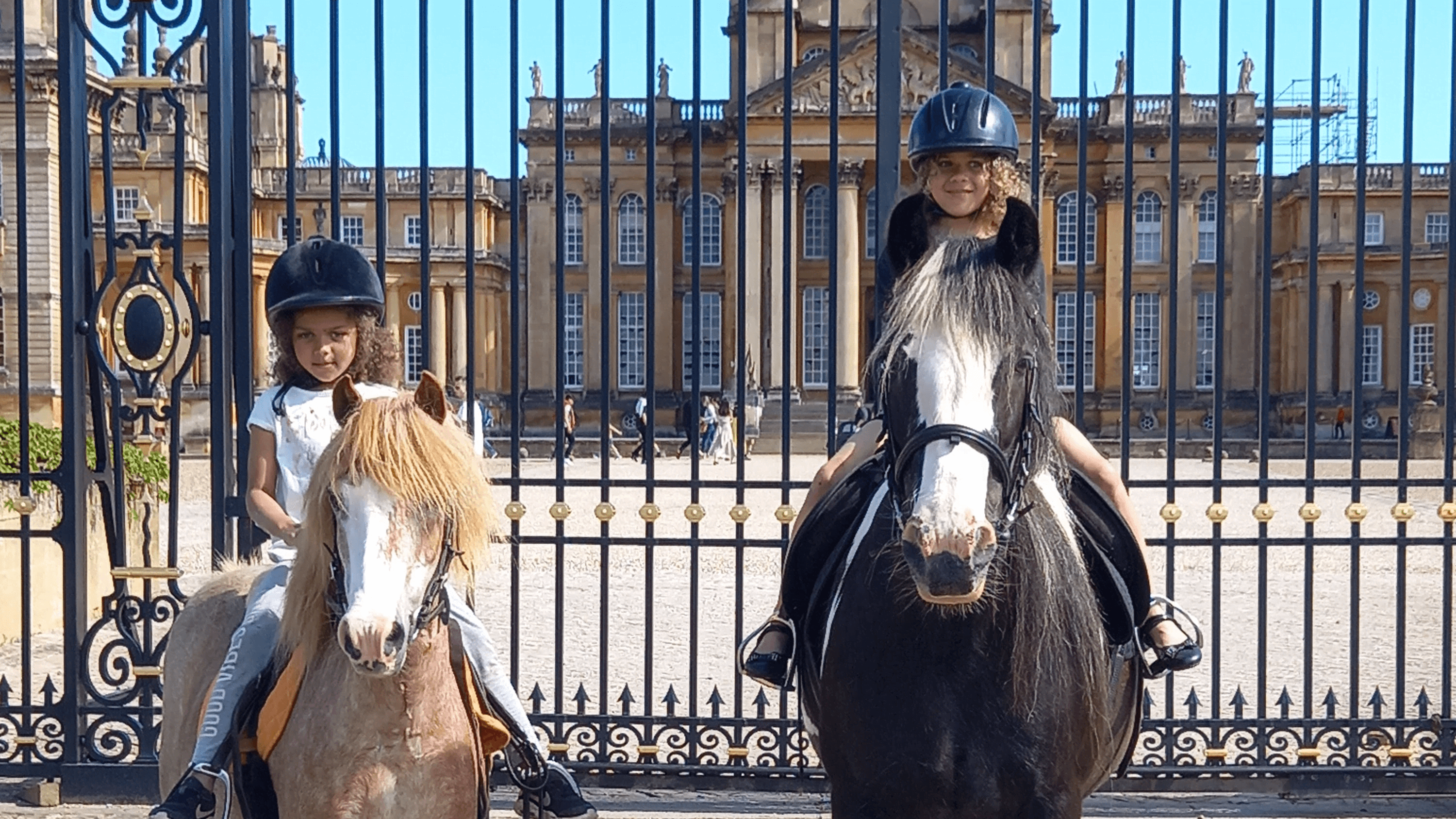 Pony Pursuits