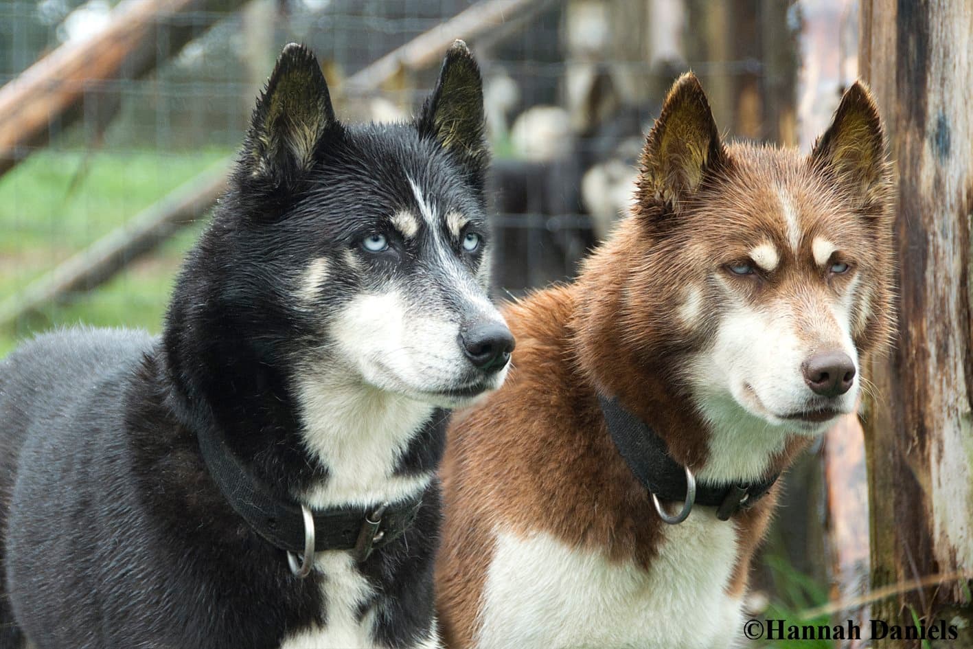 Eagle Heights Wildlife Foundation - Photo