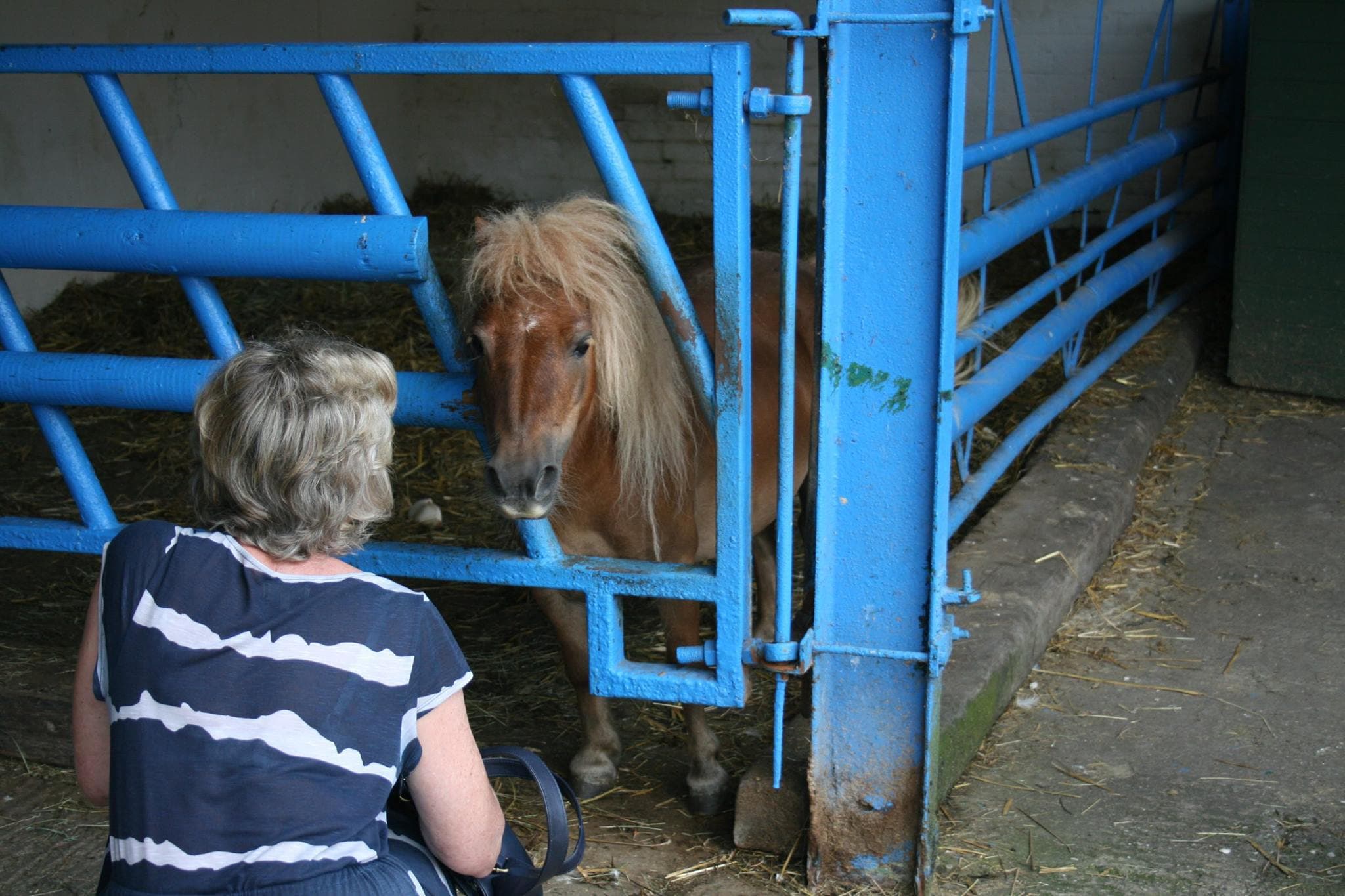 Amerton Farm and Craft Centre - Photo