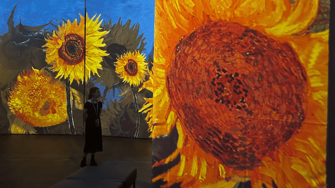 Beyond Van Gogh: The Immersive Experience - Photo