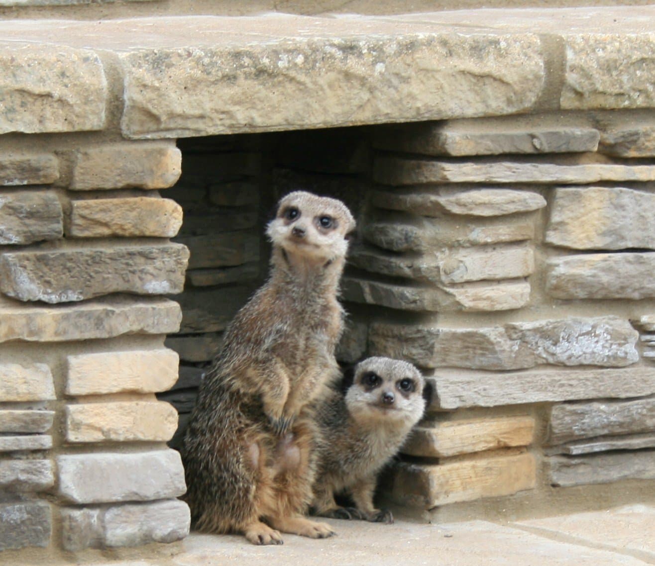 Natureland Seal Sanctuary - Photo
