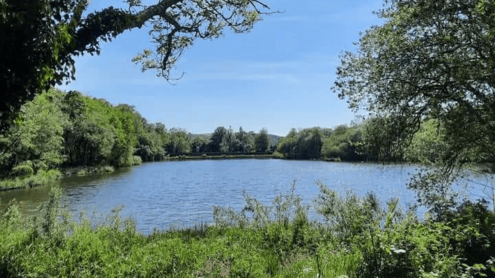 Gnoll Estate Country Park - Photo
