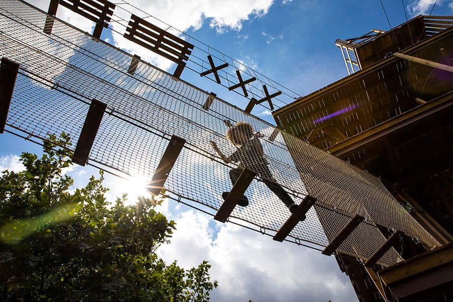 Go Ape Alexandra Palace