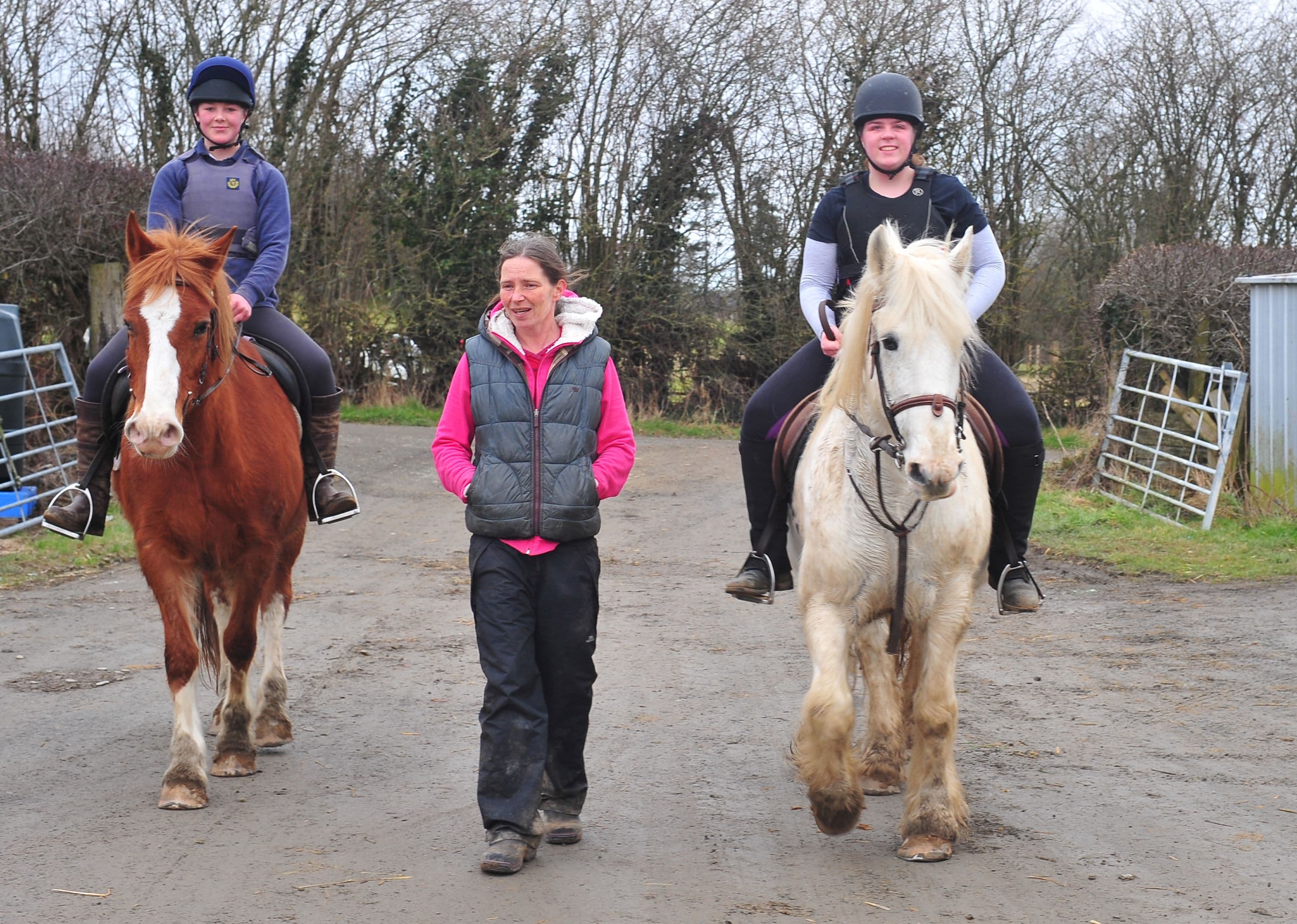 Heart of Wales Riding School - Photo