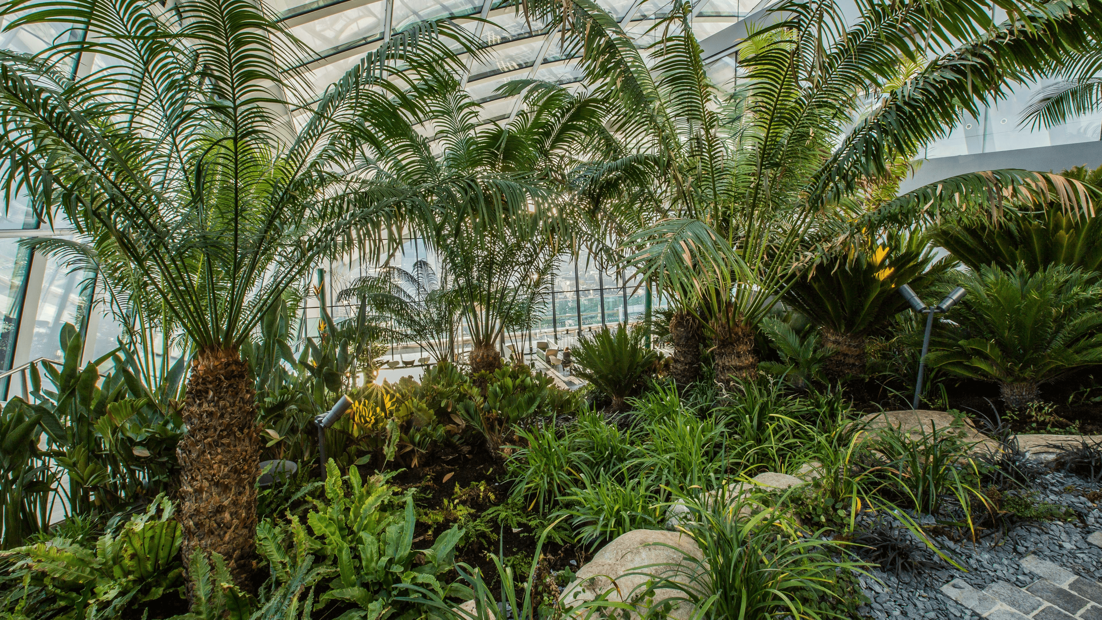 Sky Garden - Photo