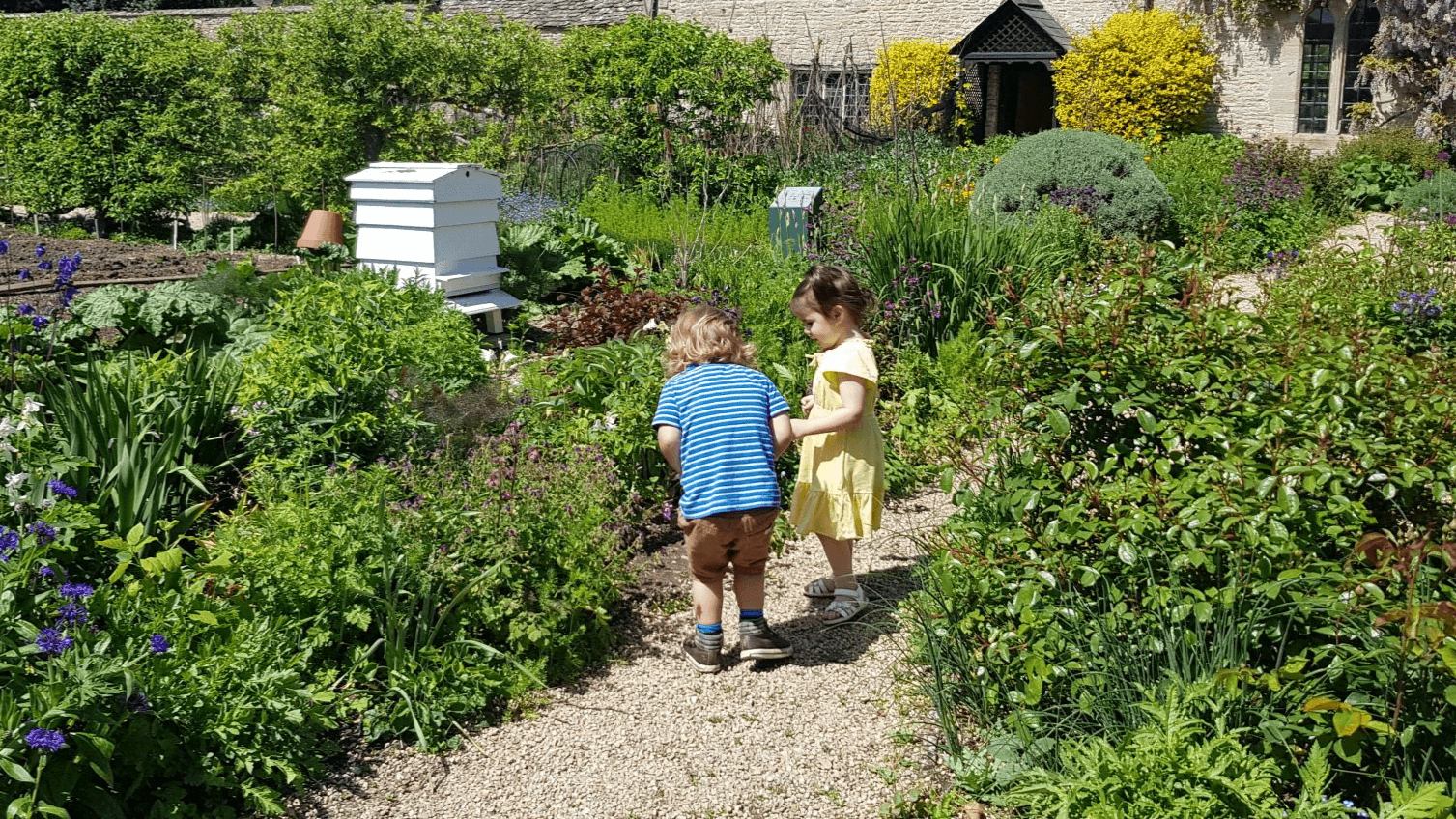 Cogges Manor Farm