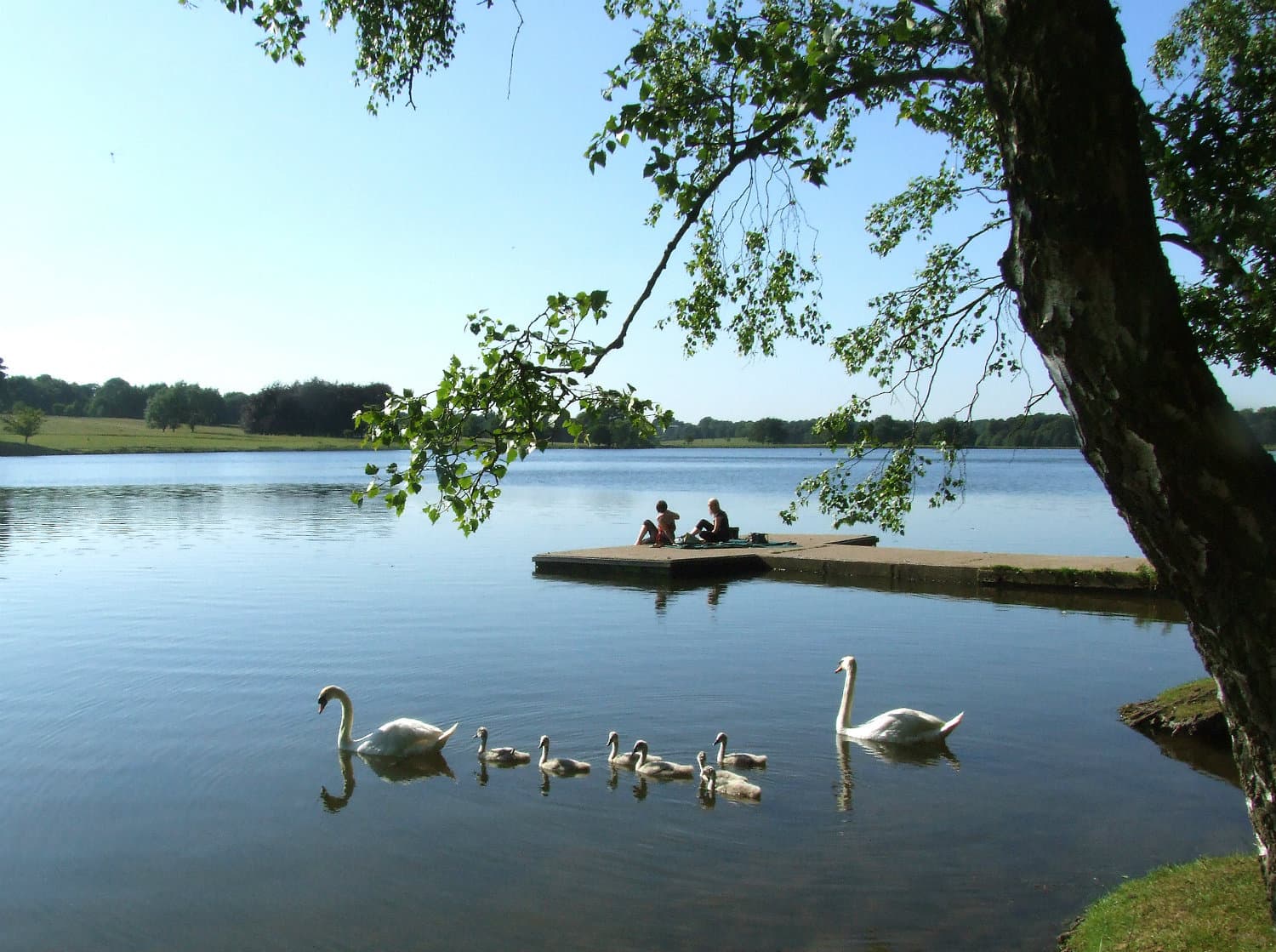 Tatton Park - Photo